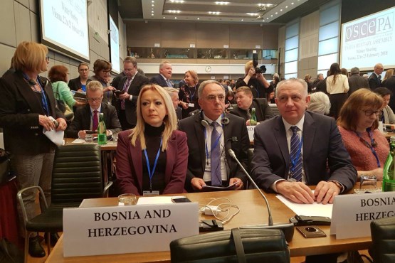 Delegacija Parlamentarne skupštine BiH učestvovala na 17. Zimskom zasjedanju Parlamentarne skupštine OSCE-a